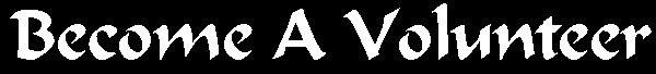 Volunteer